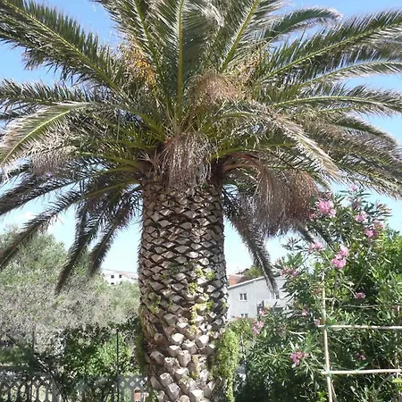 Two-bedroom In Barbat Vii *